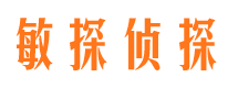 华安市调查公司